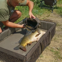 Solar Tackle SP C-Tech Fold Flat Cradles